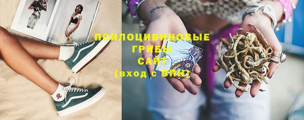не бодяженный Абаза