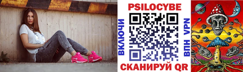 Псилоцибиновые грибы мицелий  Ярославль 