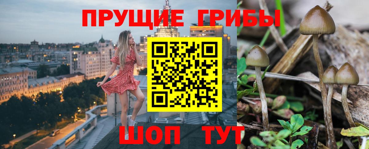 Ярославль  Галлюциногенные грибы Magic Shrooms  Вход с VPN 