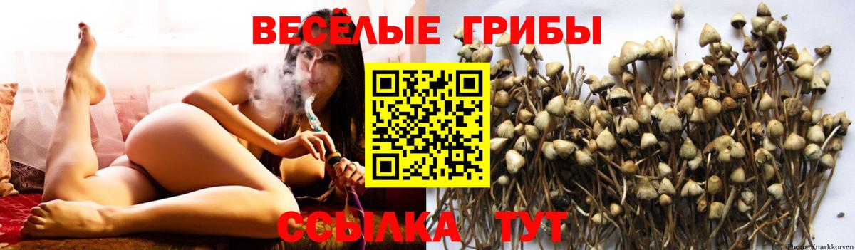 Галлюциногенные грибы GOLDEN TEACHER Ярославль